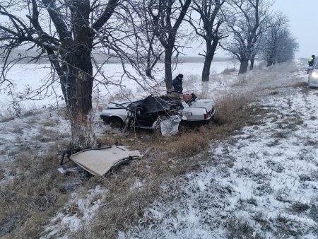 В Благодарном выехавший с трассы водитель врезался в дерево и погиб